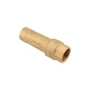 AVG Dual Check Valve FI x FI 20MM DR Brass