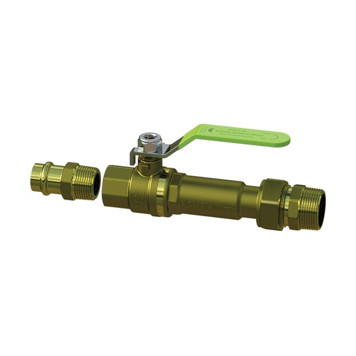 AVG Dual Check Isolation Valve 20mm (3/4") FBSP x 25mm Loose Nut